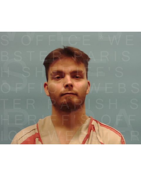 Mugshot of TRAVIS GIBBENS