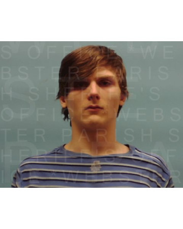 Mugshot of LUTHER DAVID HAIR