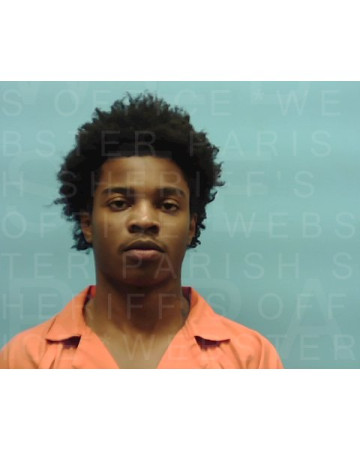 Mugshot of LAJAYDEN HARRIS