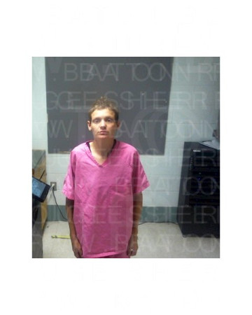 Mugshot of CHELSEY RENEE BLANCHARD