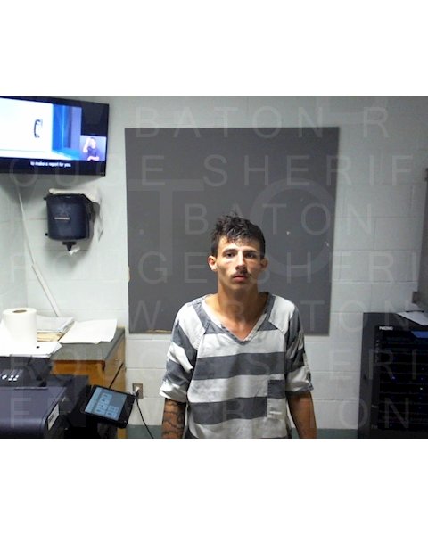 Mugshot of LOGAN CHANEY