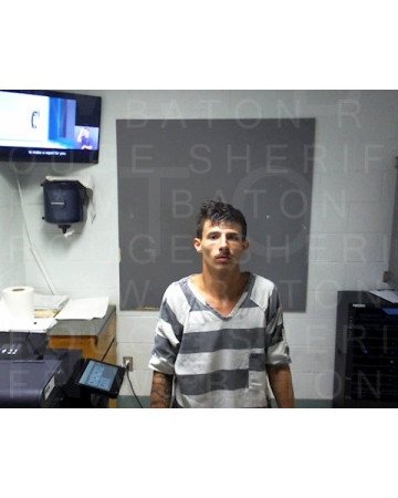 Mugshot of LOGAN CHANEY
