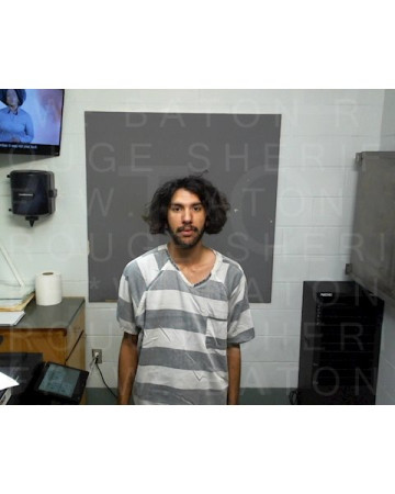 Mugshot of TYLER T COLLINS