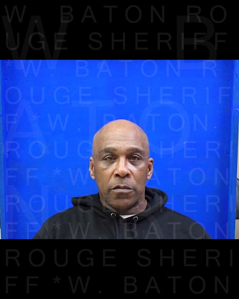 Mugshot of MICHAEL L HAYES