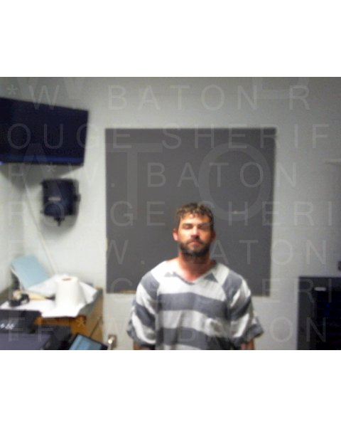 Mugshot of BRANT P HICKS