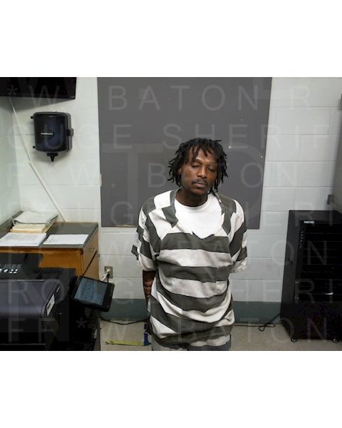 Mugshot of TERRENCE HOLLINS