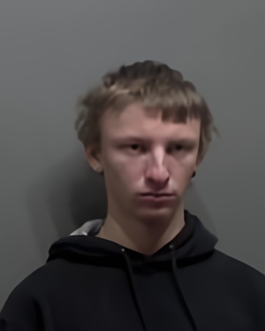 Mugshot of Joey Dane Johnson