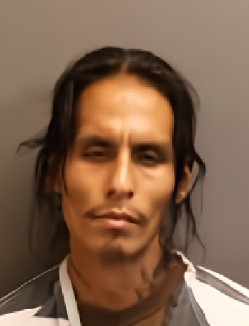 Mugshot of DEVON MARTIN