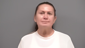 Mugshot of Delane Elizabeth Fasthorse
