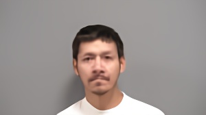 Mugshot of James Allen Redeagle