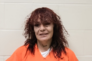 Mugshot of Lori Ann Wildey