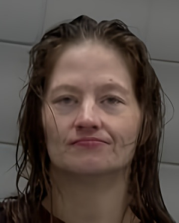 Mugshot of Tammy Jo Keller