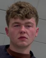 Mugshot of Stuart Ray Walsh