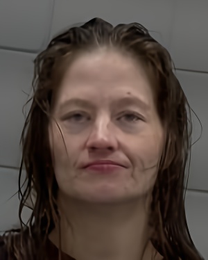 Mugshot of Dahlton Tracey Lewandoski