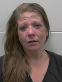 Mugshot of JESSICA LYNN SEAGRAVE