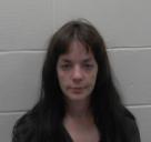 Mugshot of JESSICA LYNN BOLDUC