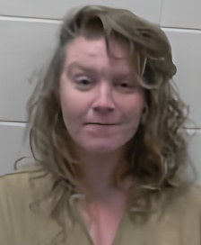 Mugshot of PATIENCE LEEANN BARRY