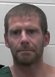 Mugshot of BRYAN FESTUS WOOD