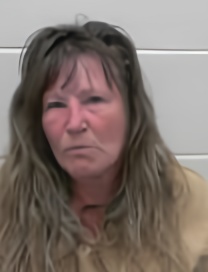 Mugshot of SUSAN JEAN MILLS