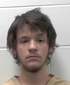 Mugshot of BRENNON TAYLOR WILLIAMS