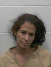 Mugshot of MICHELLE LYNN MCCLAIN