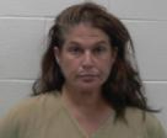 Mugshot of SHAWNA JEAN WILSON