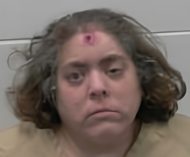 Mugshot of BRENDA LEA THERRIEN