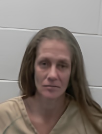 Mugshot of ERIN O'BRIEN SCHNEIDER