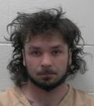 Mugshot of OLIVER LANDON STROUT