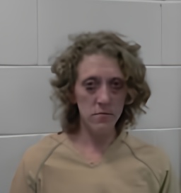 Mugshot of DEVIN EILEEN LYMBURNER