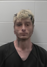 Mugshot of VICTOR MANUEL SOUSA