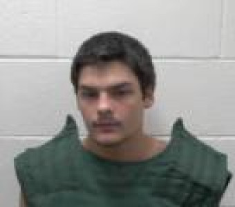 Mugshot of JAVIS ROBERT JELLISON