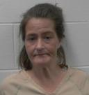 Mugshot of MELISSA ANN ELWELL