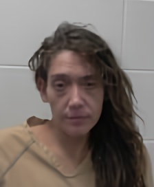 Mugshot of ANDREA KATHREEN MERRILL-BISSON