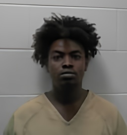 Mugshot of HAMDI Noor MOHAMED