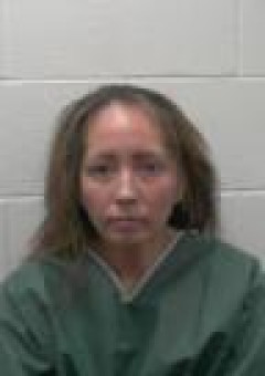 Mugshot of JENNIFER ELAINE DIONNE