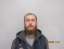 Mugshot of TANNER R LAVIGNE