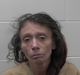 Mugshot of SHEENA LYNN WOODSOME