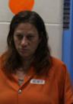 Mugshot of HEIDI LYNN WHITE