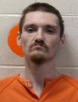 Mugshot of RICHARD PAUL LEE