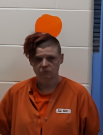 Mugshot of JESSICA GERALDINE VIOLETTE
