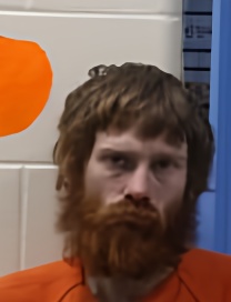 Mugshot of VERN LEE ANDERSON
