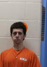 Mugshot of ROBIN A JR WITHAM