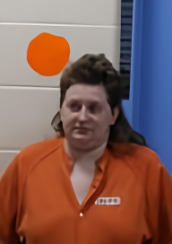 Mugshot of BROOKE M ROBINSON