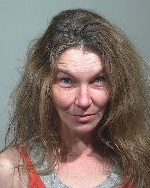 Mugshot of Linda E Edelin