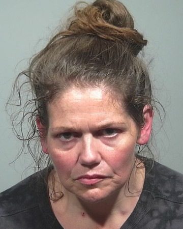 Mugshot of Amanda C Payne