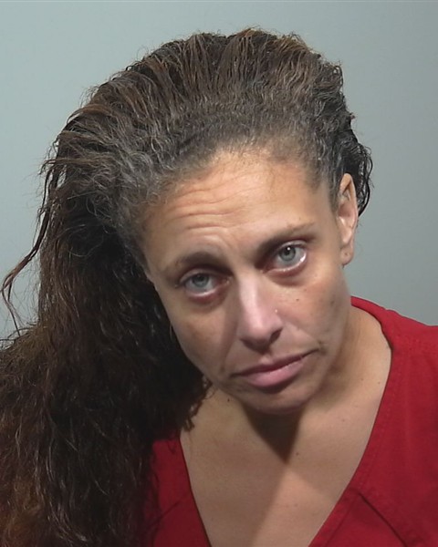 Mugshot of Liza R Nguyen
