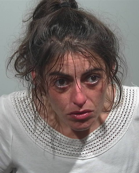 Mugshot of Erika J Laplante