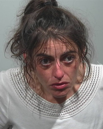 Mugshot of Erika J Laplante