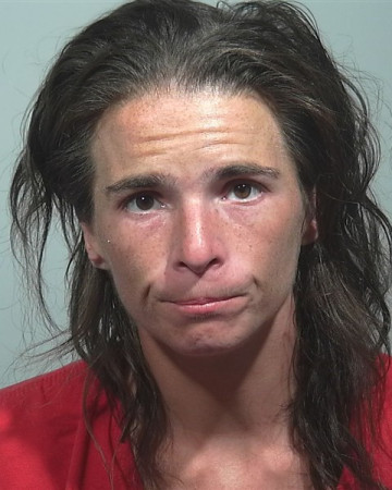Mugshot of Ashley E Nye